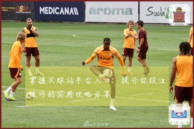 掌握买球站平台入口：提升你投注技巧的实用攻略分享
